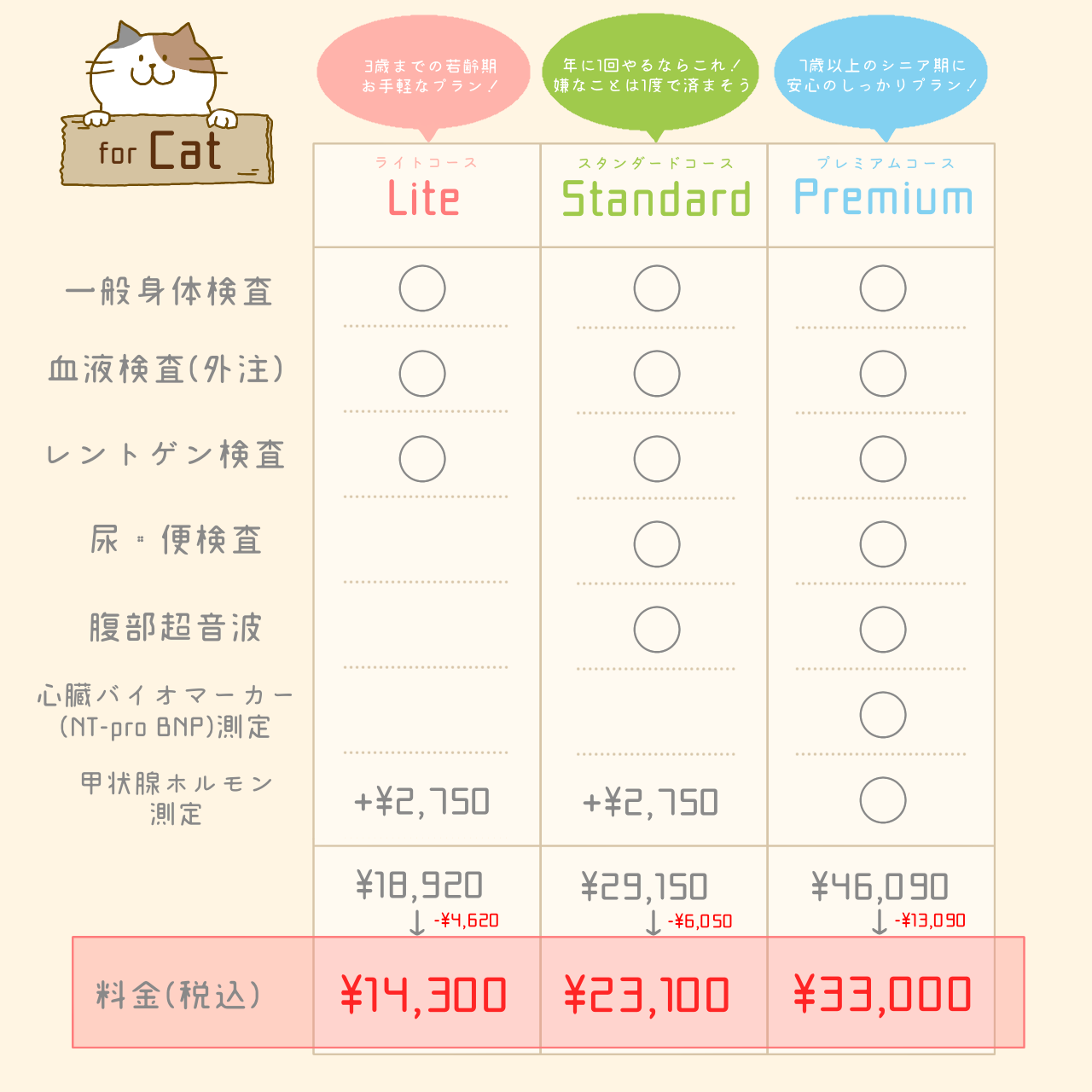 健康診断キャンペーンコース別料金案内　猫