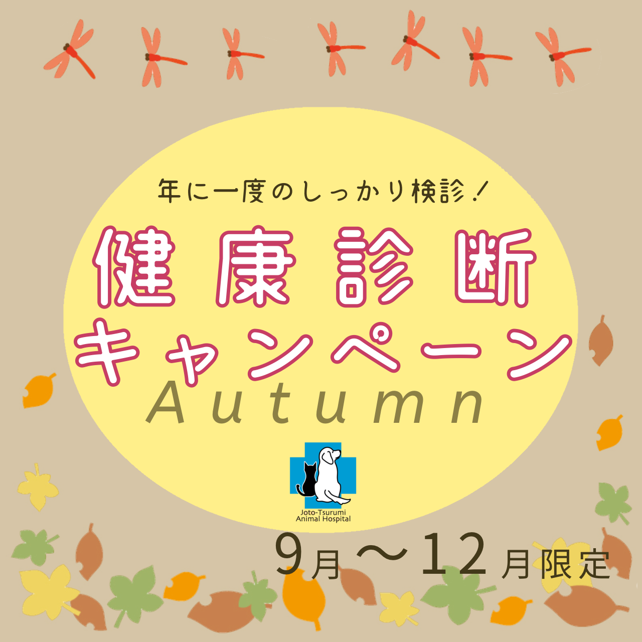 9月〜12月限定健康診断キャンペーン