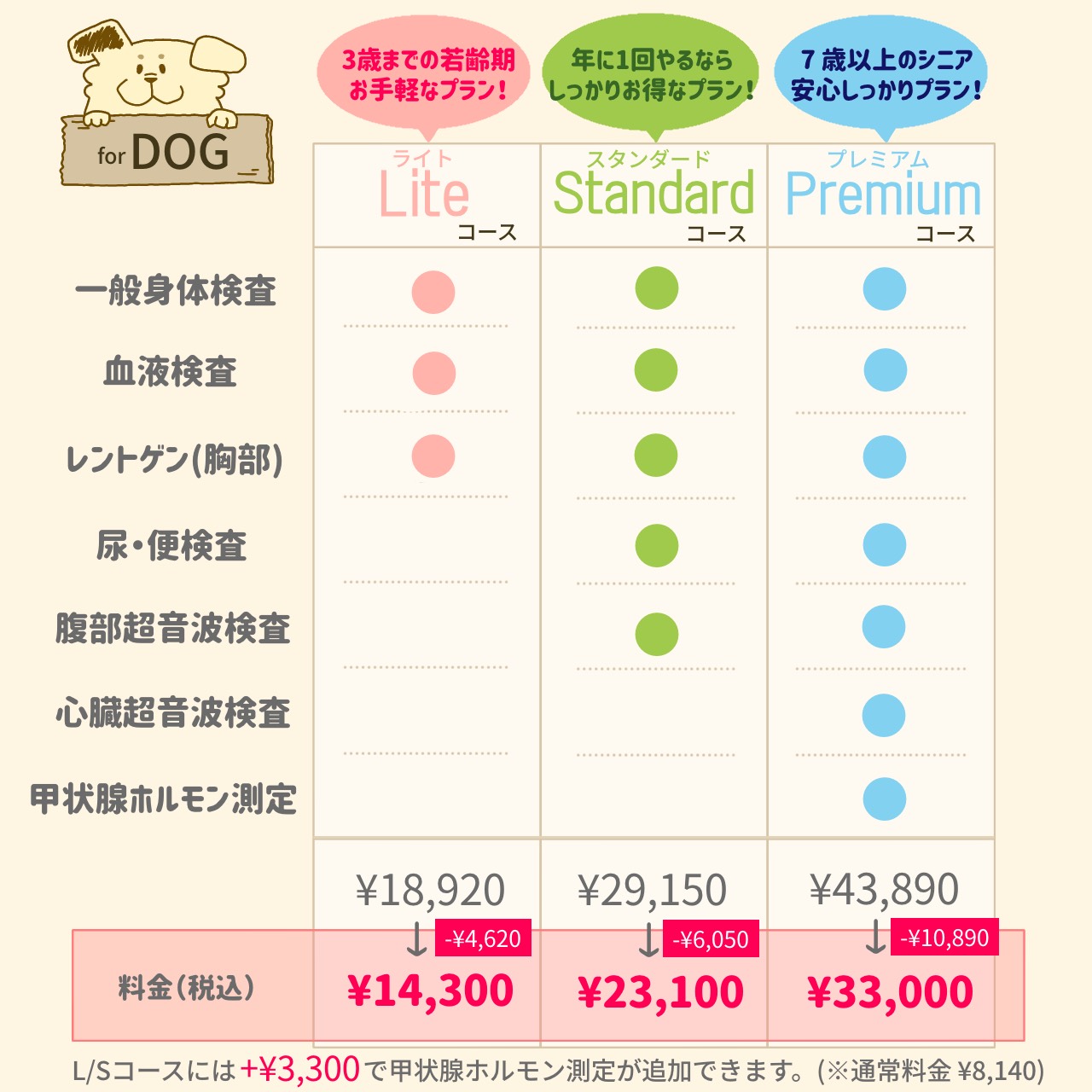 秋の健康診断キャンペーンコース別料金表　犬