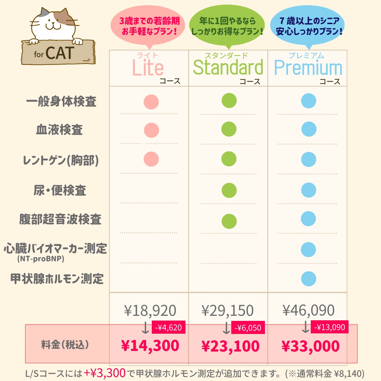 秋の健康診断キャンペーンコース別料金表　猫