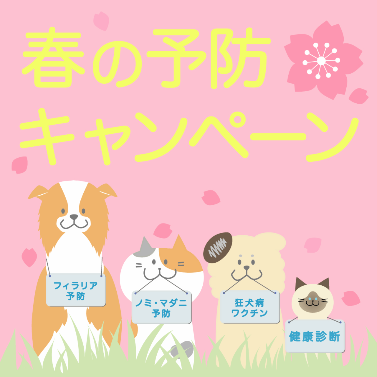 春の予防キャンペーン