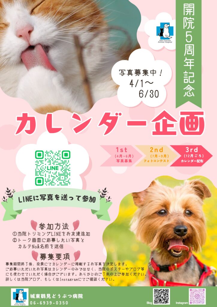 城東鶴見どうぶつ病院開院5周年記念カレンダー企画