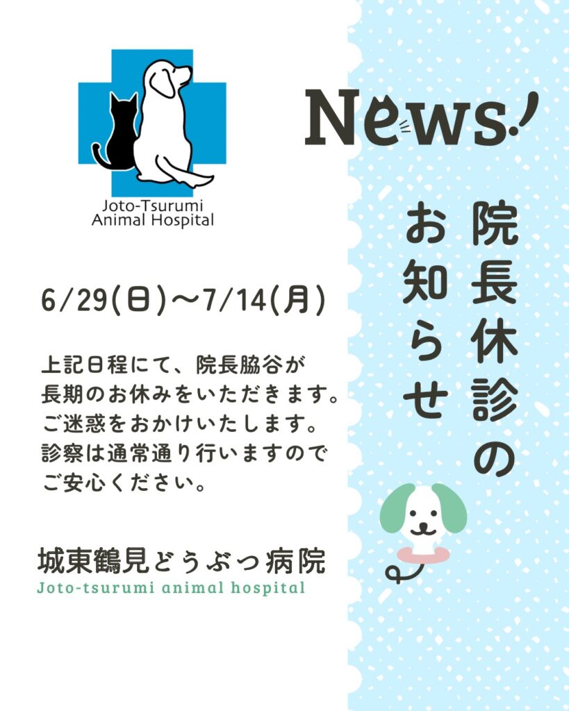 6/29（日）〜7/14（月）院長長期休診のお知らせ