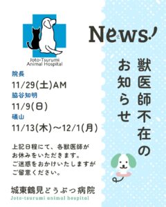 獣医師不在のお知らせ