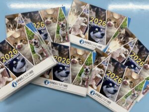 5周年記念カレンダー