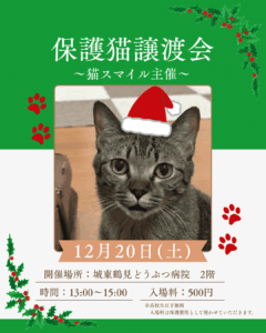 猫スマイル主催保護猫譲渡会12/20（土）