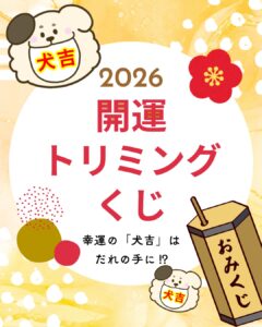 トリミングくじ