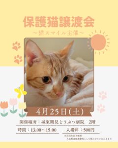 4/25(土)保護猫譲渡会