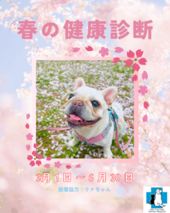 春の健康診断キャンペーン