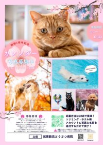 カレンダー写真大募集