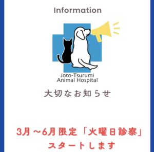 3月〜6月限定で火曜日診察スタートします