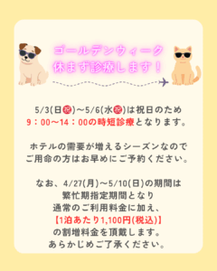 ゴールデンウィークも休まず診療します！