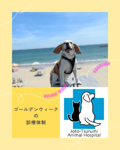 ゴールデンウィークの診療体制