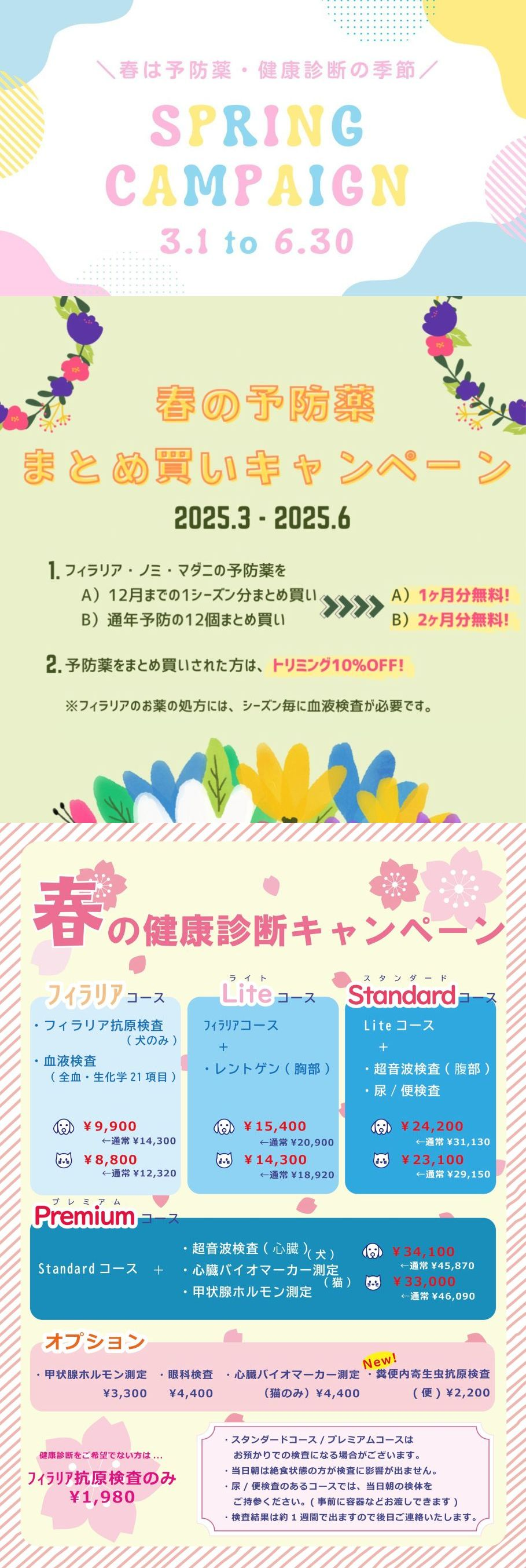 キャンペーン