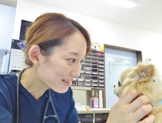 犬猫の予防