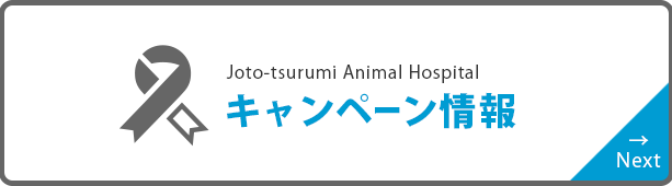 キャンペーン情報